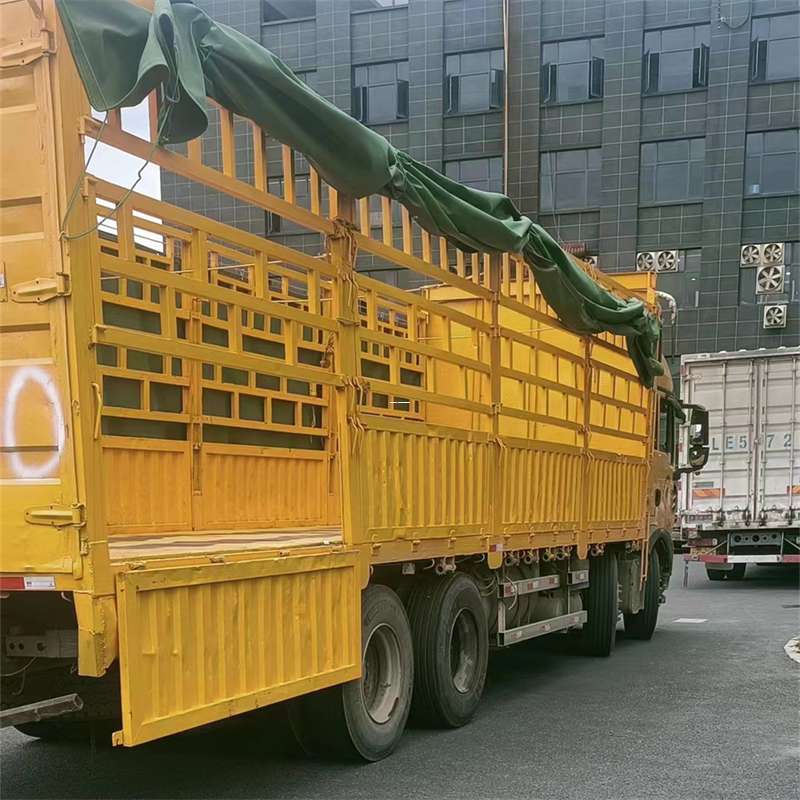 沙湾区灵璧县物流运输：多元服务与高效线路探秘