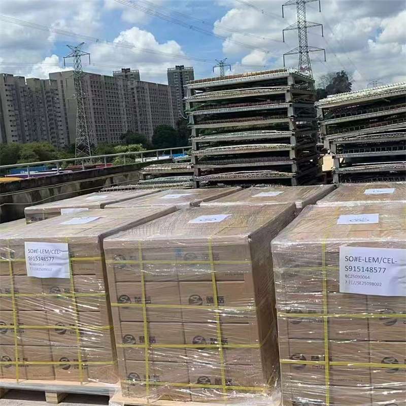 沙湾区嘉兴市物流运输：多元服务与线路探秘