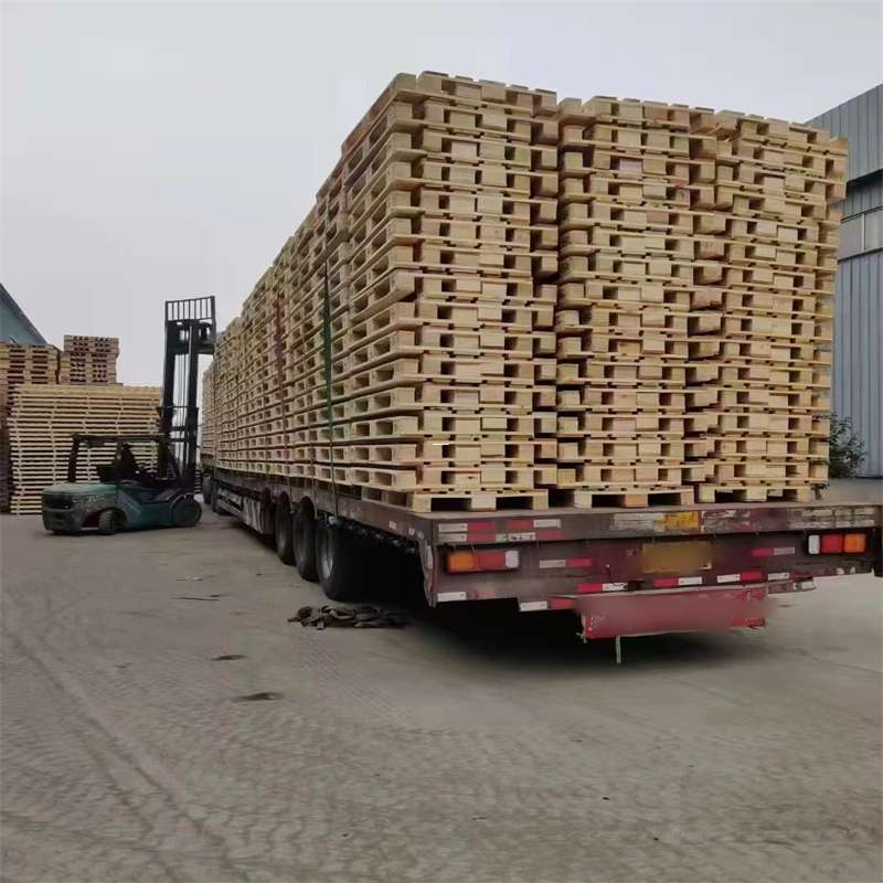 沙湾区探索镇江市多元物流运输的奥秘