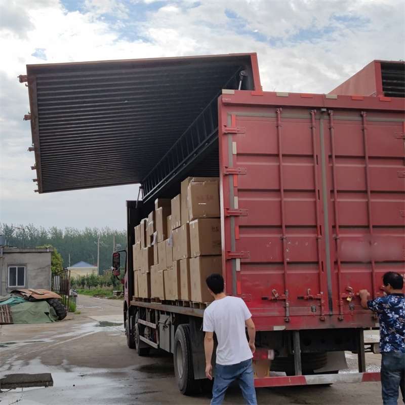 沙湾区扎囊县：物流专线的高效货运之旅